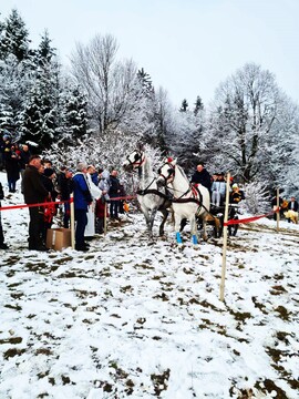Darko Kepic  je pripeljal  k blagoslovitvi  z dvovprego